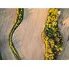 Farmland from above - aerial image of a lush green filed
