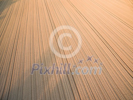 Farmland from above - aerial image of a lush green filed