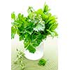 Assortment of fresh organic green herbs in glass
