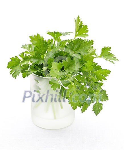 Fresh green parsley in glass isolated on white background