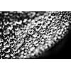 Macro closeup of leaf edge with dew drops in black and white