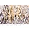 Artistic abstract blur of winter grass produced by camera motion