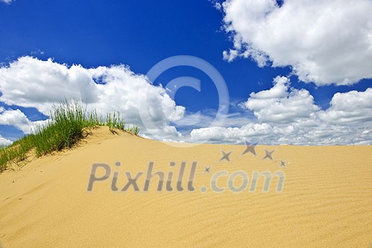 Landscape of Spirit Sands dunes in Spruce Woods Provincial Park, Manitoba, Canada