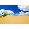 Landscape of Spirit Sands dunes in Spruce Woods Provincial Park, Manitoba, Canada