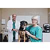 portrait of a veterinarian and assistant in a small animal clinic at work