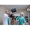 portrait of a veterinarian and assistant in a small animal clinic at work