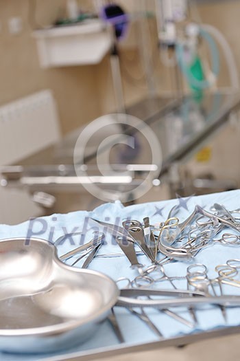 animal and pet surgery hospital room indoor with tools and instruments animal and pet surgery hospital room indoor with tools and instruments