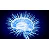 Concept of human intelligence with human brain on blue digital background