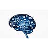Concept of human intelligence with human brain on white digital background