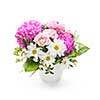Bouquet of colorful flowers arranged in small vase on white background