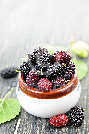 Ripe mulberry berries in a bowl, freshly picked