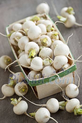 Many small white freshly picked turnips in basket for sale on farmers market Many small white freshly picked turnips in basket for sale on farmers market