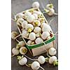 Many small white freshly picked turnips in basket for sale on farmers market