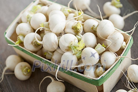 Many small white freshly picked turnips in basket for sale on farmers market Many small white freshly picked turnips in basket for sale on farmers market