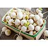 Many small white freshly picked turnips in basket for sale on farmers market