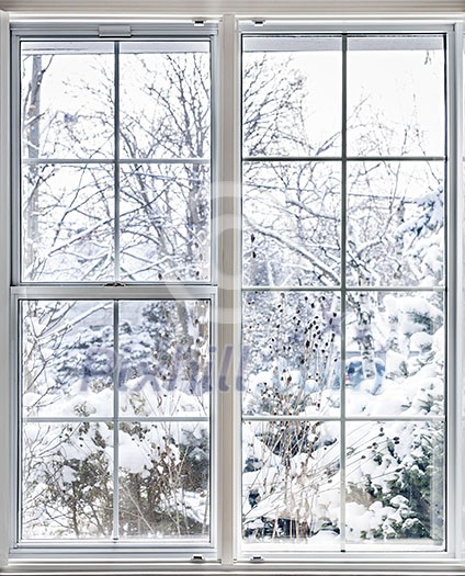 Home vinyl insulated windows with winter view of snowy trees and plants