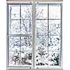 Home vinyl insulated windows with winter view of snowy trees and plants