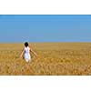 Young woman standing jumping and running  on a wheat field with blue sky the background at summer day representing healthy life and agriculture concept