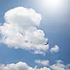 bird in flight and dramatic clouds in blue sky with clouds