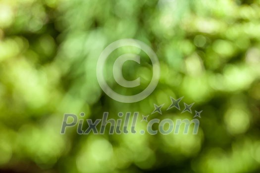 Natural bokeh. Photo of holidays lights blurred, small DOF Natural bokeh. Photo of holidays lights blurred, small DOF