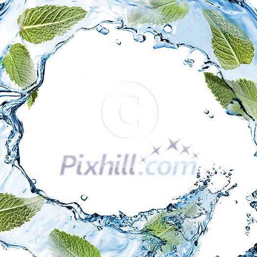 water splash with green mint isolated on white water splash with green mint isolated on white