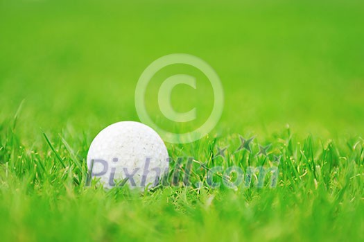 golf ball on sports golf course and hole