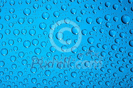 water drops on blue water drops on blue