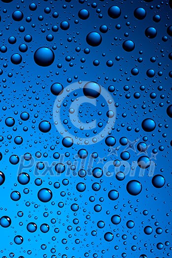 water drops on blue