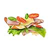 Ingredients for sandwich falling in the air isolated on white - slices of fresh tomatoes, ham, cheese and lettuce