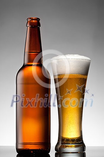 Beer in glass and bottle on white Beer in glass and bottle on white