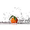 Tangerine with water splash isolated on white