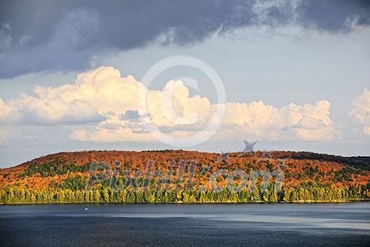 Forest of colorful autumn trees with lake and dramatic sky Forest of colorful autumn trees with lake and dramatic sky