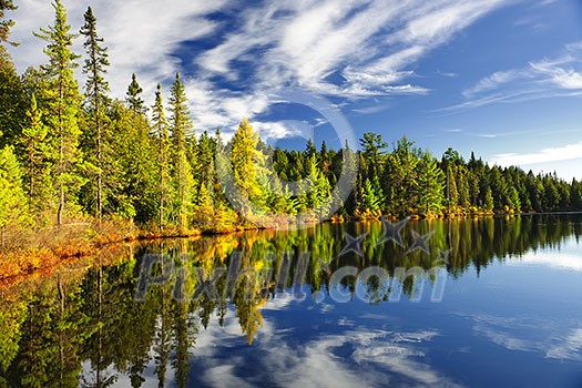 Beautiful forest reflecting on calm lake shore at Algonquin Park, Canada Beautiful forest reflecting on calm lake shore at Algonquin Park, Canada