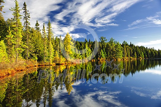 Beautiful forest reflecting on calm lake shore at Algonquin Park, Canada