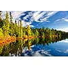 Beautiful forest reflecting on calm lake shore at Algonquin Park, Canada