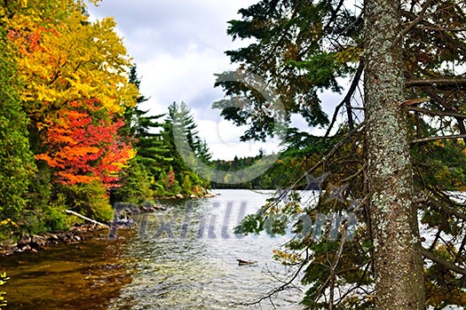 Lake shore of fall forest with colorful trees