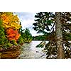 Lake shore of fall forest with colorful trees