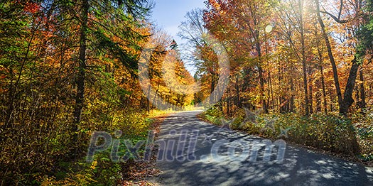 Autumn road with long shadows in colorful fall forest. Algonquin Provincial park, Ontario, Canada.