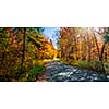 Autumn road with long shadows in colorful fall forest. Algonquin Provincial park, Ontario, Canada.