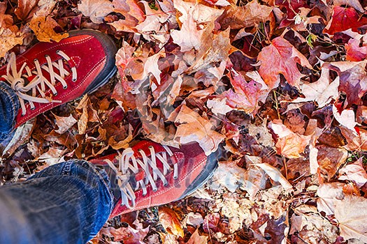 Red shoes standing in many fallen maple leaves from above with copy space
