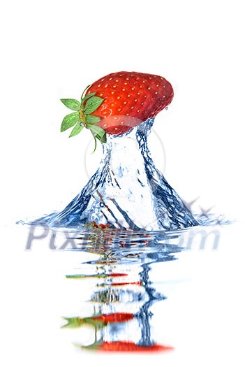 Fresh strawberry dropped into blue water with splash isolated on white