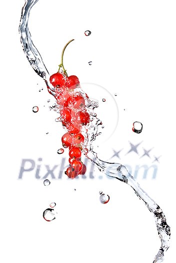 redcurrant and water drops isolated on white