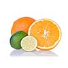 orange and lime isolated on white