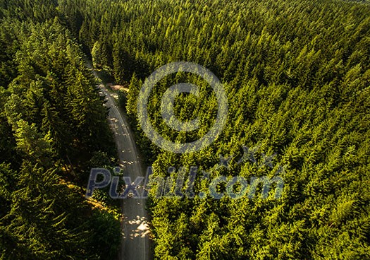 Aerial view of vast forests