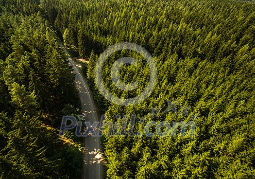 Aerial view of vast forests Aerial view of vast forests