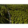 Aerial view of vast forests