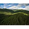 Aerial view of mountains covered with coniferous forests