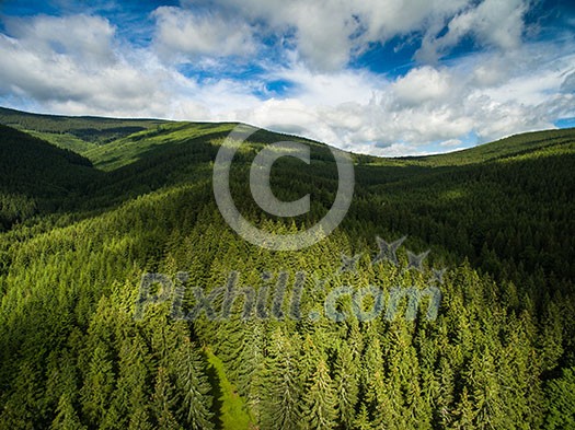 Aerial view of mountains covered with coniferous forests