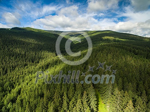 Aerial view of mountains covered with coniferous forests