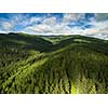 Aerial view of mountains covered with coniferous forests